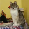 Отзыв от Римма Аникина